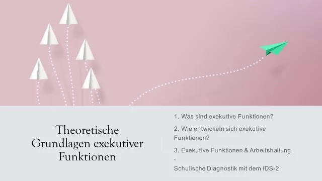 exekutive Funktionen