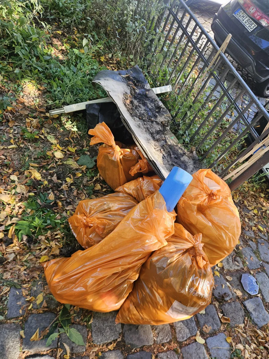World Clean Up-Day 1