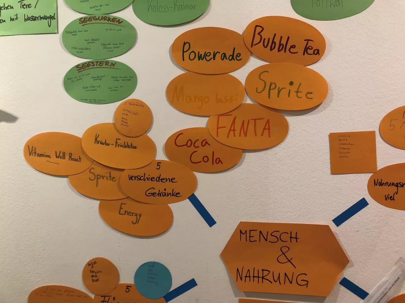 Wasserprojekt8
